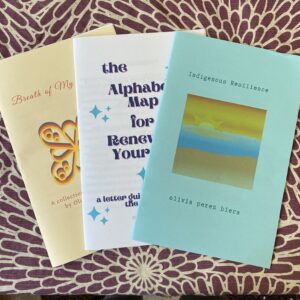 1 Zine Pack of 3 New titles by Olivia Perez Biera