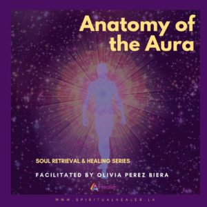 Anatomy of the Aura, Workshop 2