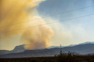 wildfire, wild, fire