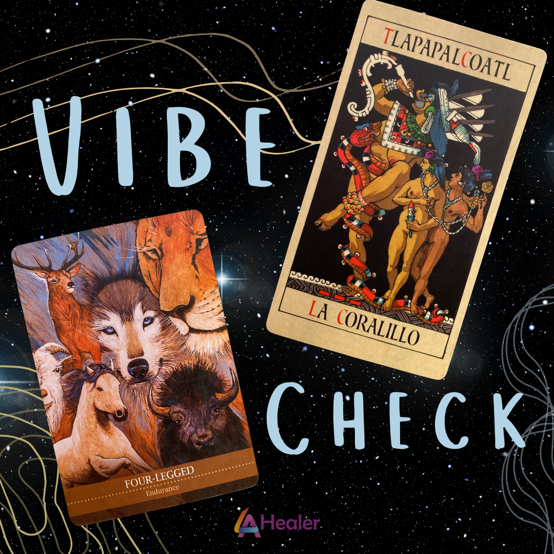 Vibe Check: 02/22/2022