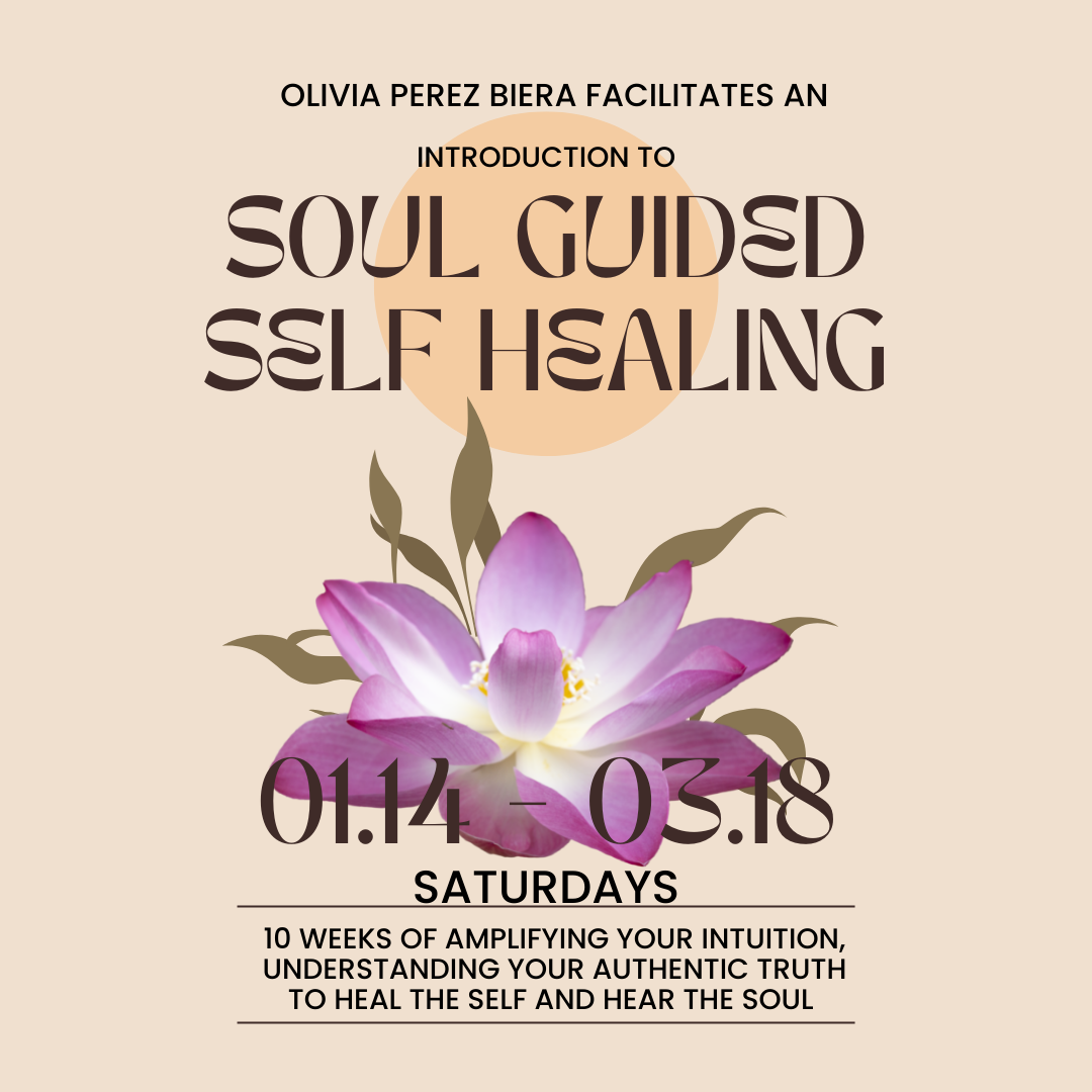 Soul Guided Self-Healing Workshops