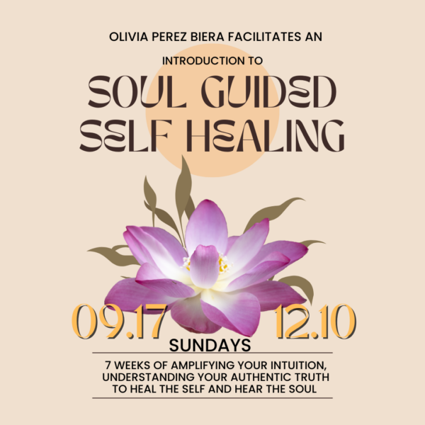 Self-healing classes